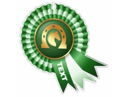 Medaile - jezdectví - MDAWR002M55