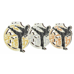 Medaile - karate - MDAW002M25 + vlastní text