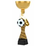 Fotbalová trofej - ACUPSILVM01