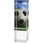 Fotbalová trofej - ACUPSILVM01