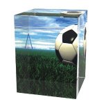 Fotbalová trofej - ACUPSILVM01