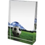 Fotbalová trofej - ACUPSILVM01