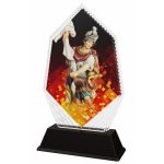 Hasičská trofej - PYR1M41