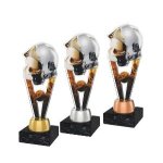 Hasičská trofej - PYR1M41