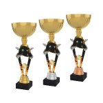 Hasičská trofej - PYR1M41