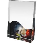 Hasičská trofej - PYR1M41