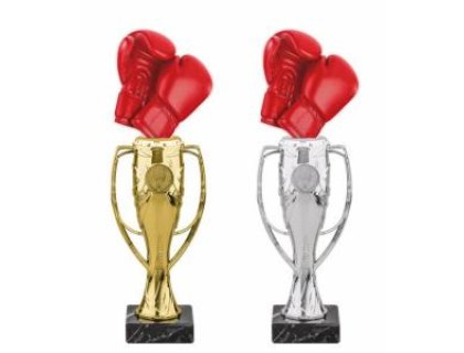 Boxerská trofej - PYR1M42