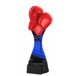 Boxerská trofej - PYR1M42