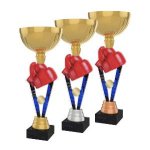 Boxerská trofej - PYR1M42
