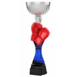 Boxerská trofej - PYR1M42