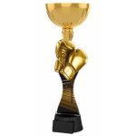 Boxerská trofej - PYR1M42