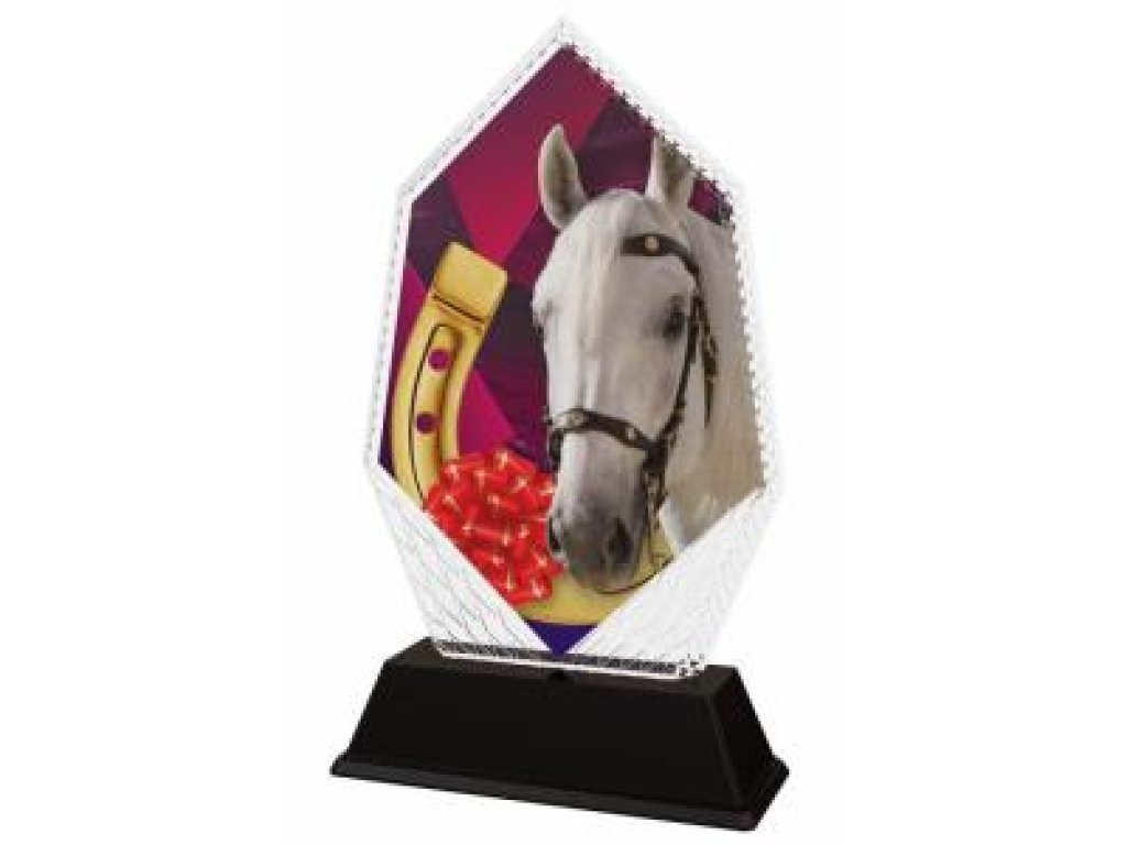 Jezdecká trofej - PYR1M30