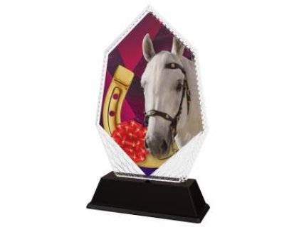 Jezdecká trofej - PYR1M30