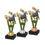Jezdecká trofej - PYR1M30
