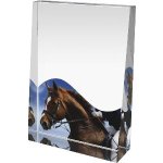 Jezdecká trofej - PYR1M30