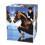 Jezdecká trofej - PYR1M30