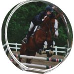 Jezdecká trofej - PYR1M30