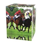 Jezdecká trofej - PYR1M30