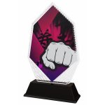 Karate trofej - PYR1M21