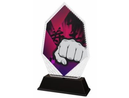 Karate trofej - PYR1M21