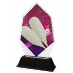 Veslařská trofej - PYR1M20