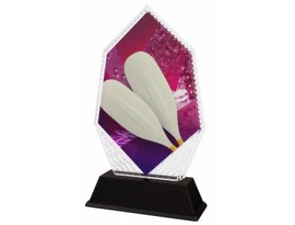 Veslařská trofej - PYR1M20