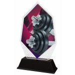 Vzpěračská trofej - PYR1M19