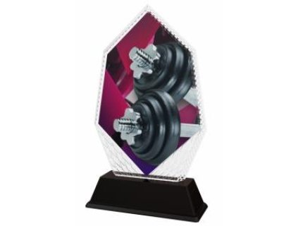 Vzpěračská trofej - PYR1M19