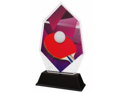 Ping pongová trofej - PYR1M14