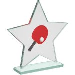 Ping pongová trofej - PYR1M14