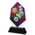 Kulečníková trofej - PYR1M13