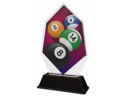 Kulečníková trofej - PYR1M13