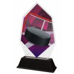 Hokejová trofej - PYR1M8