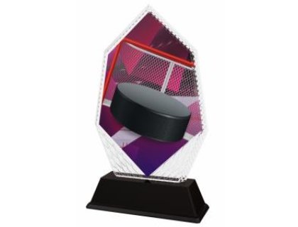 Hokejová trofej - PYR1M8