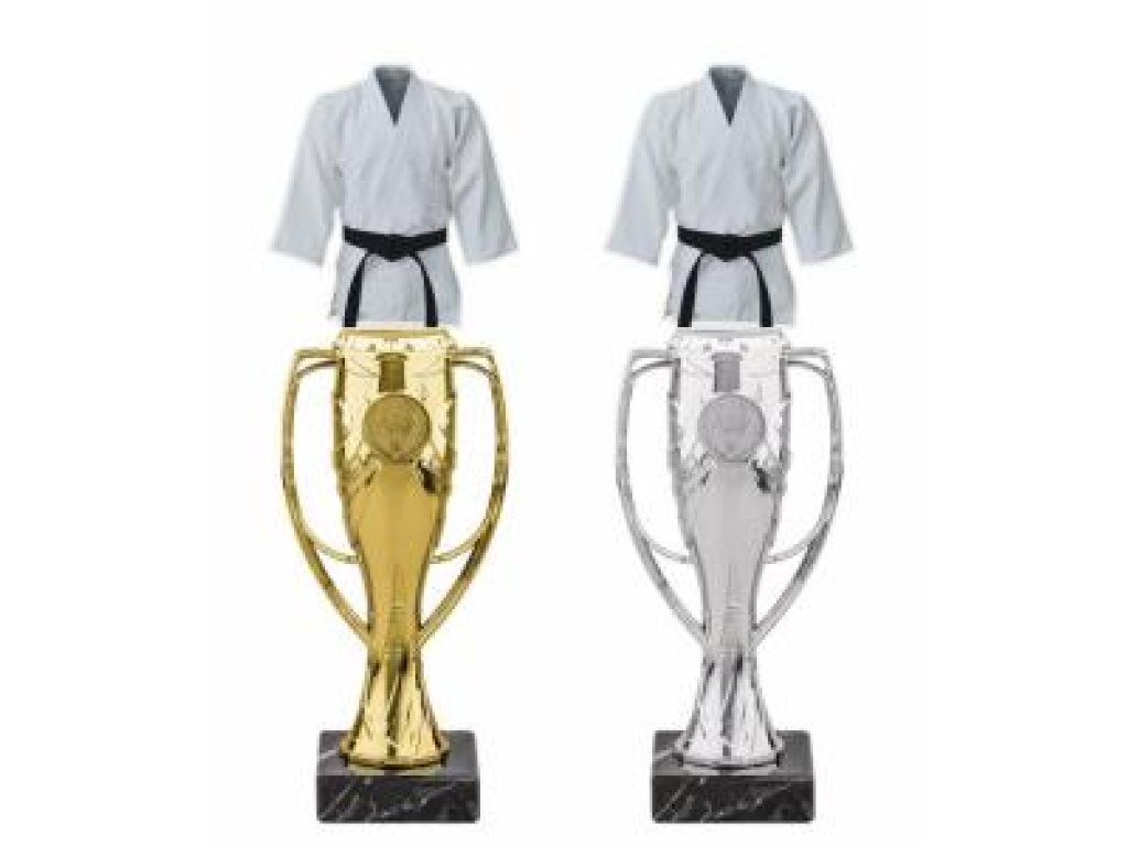 Judo trofej - HLAC4M19G