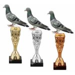 Chovatelská trofej - holub - HLAC02M28