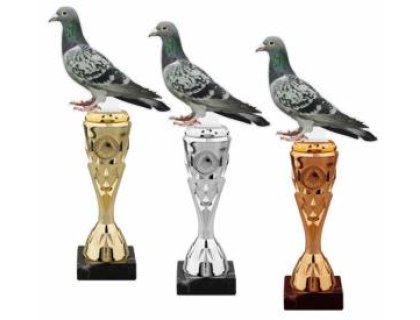 Chovatelská trofej - holub - HLAC02M28