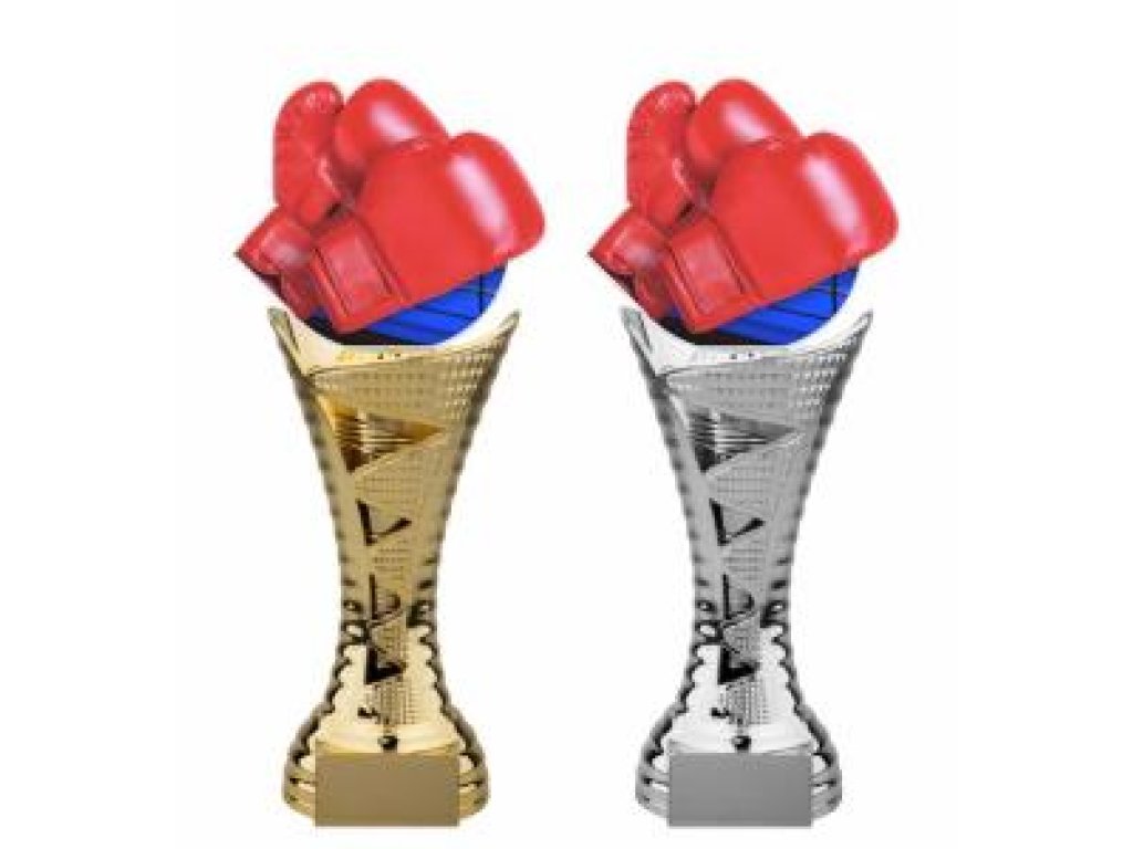 Box trofej - HLAC01M21S