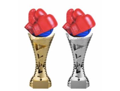 Box trofej - HLAC01M21S