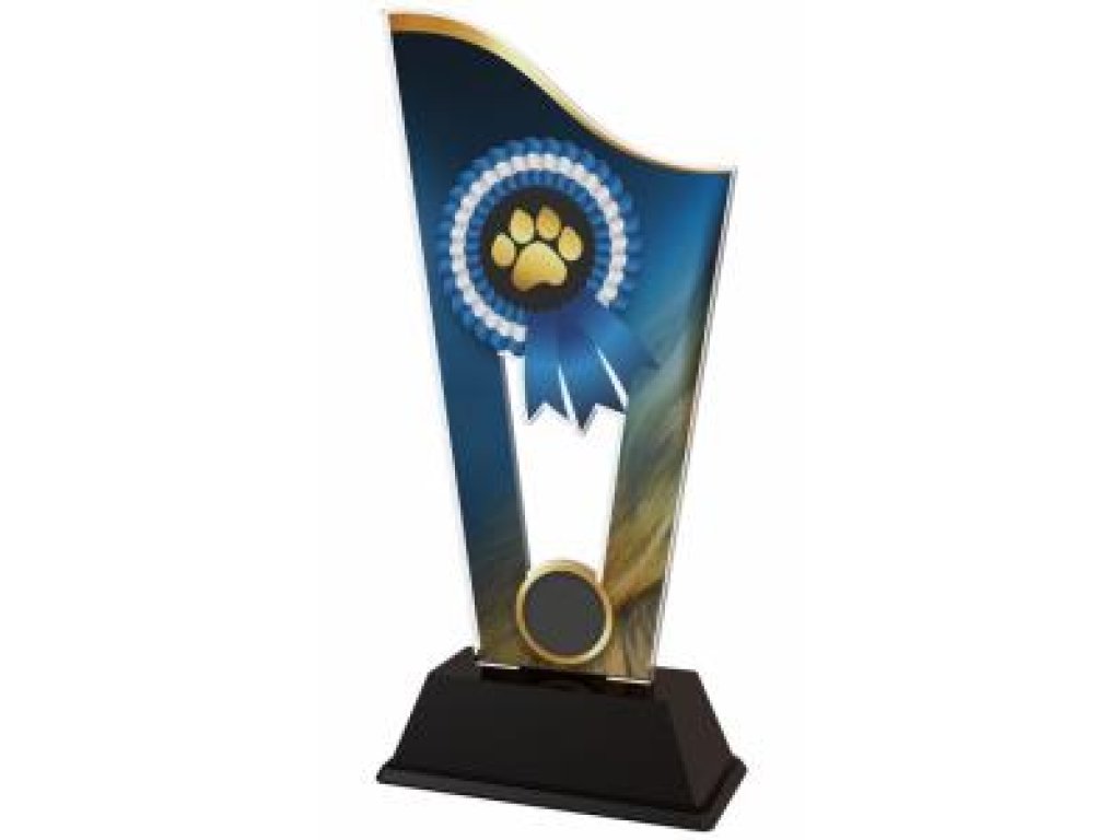 Agility plaketa - CASM19