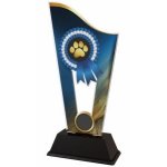 Agility plaketa - CASM19