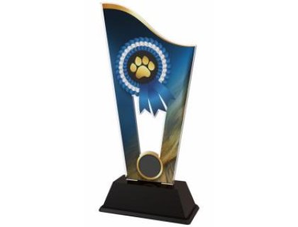 Agility plaketa - CASM19