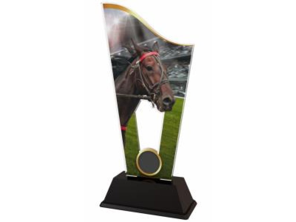 Jezdecká plaketa - CASM16