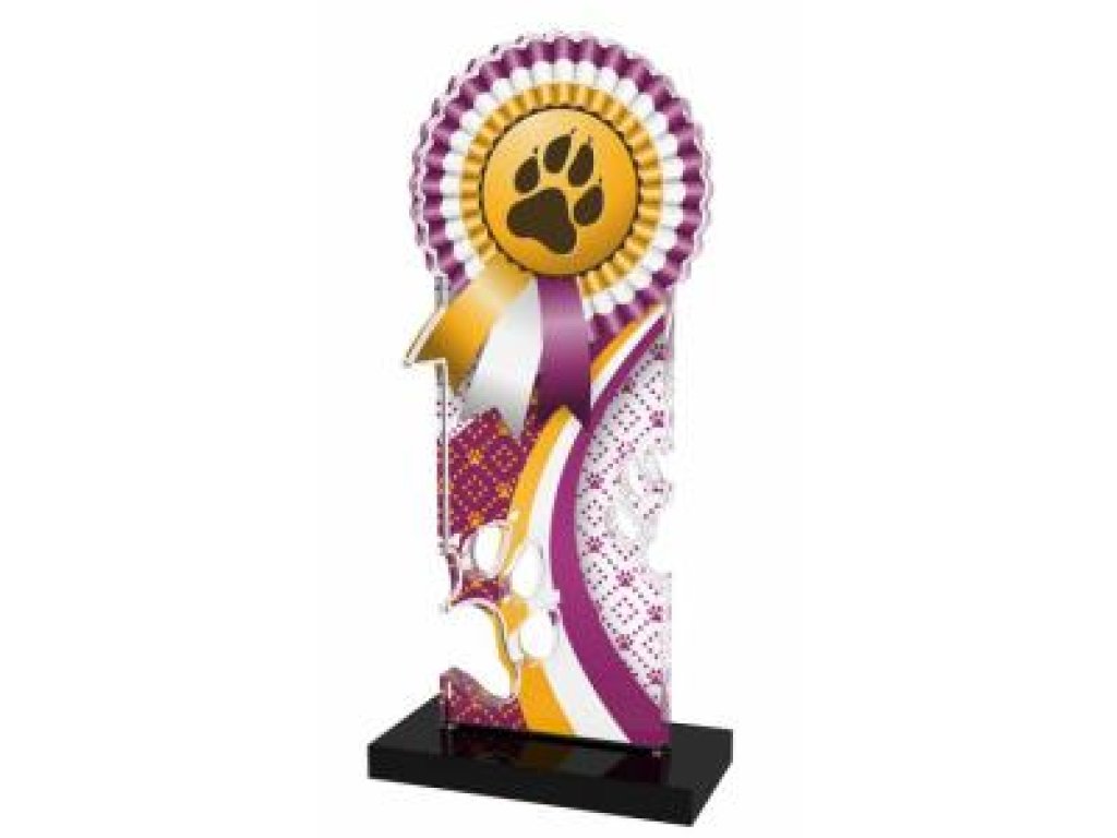 Agility trofej - APLAM38