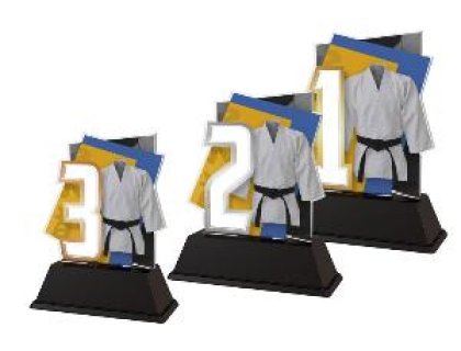 Plaketa bojové umění - NCUF001M12