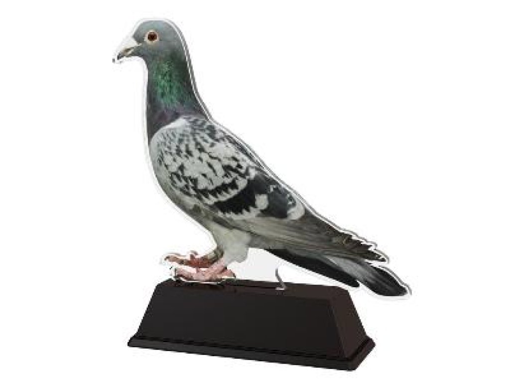 Plaketa holub - FA210M14