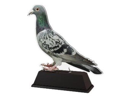 Plaketa holub - FA210M14