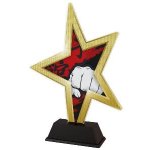 Plaketa bojové sporty - STAR002M15