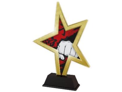 Plaketa bojové sporty - STAR002M15