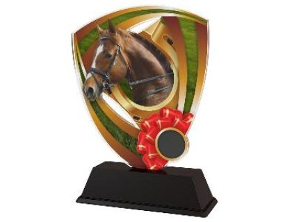 Plaketa jezdectví - CACUF001M26